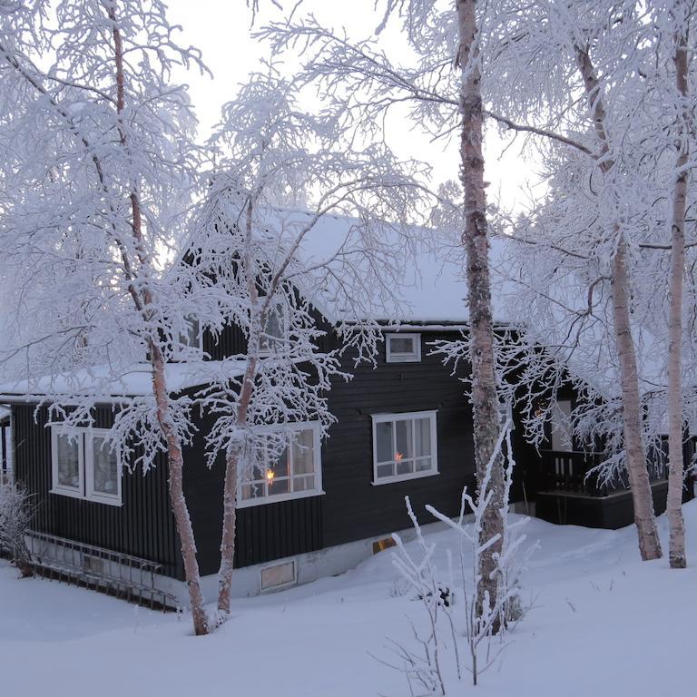 Birk Bed & Birds Bed & Breakfast Svanvik Exterior photo